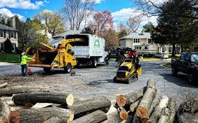 Best Grass Overseeding  in Buffalo, NY